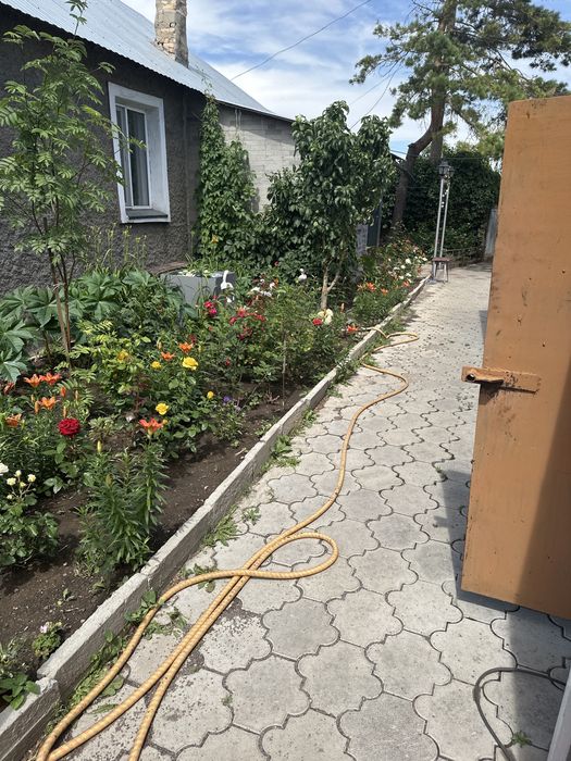 Продается дом на одного хозяина