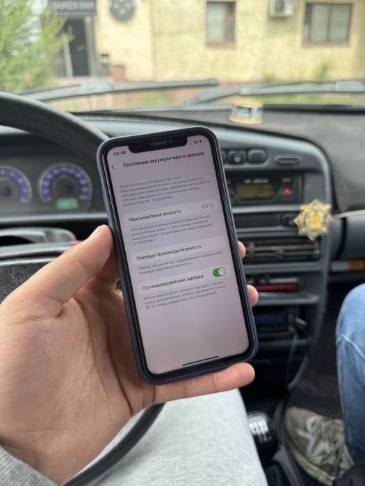 iPhone X 256gb 100%
