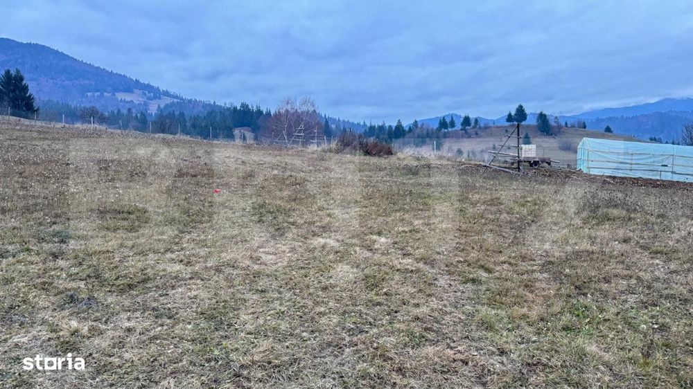 Vand 2500 Mp De Teren Intravilan La Colibita