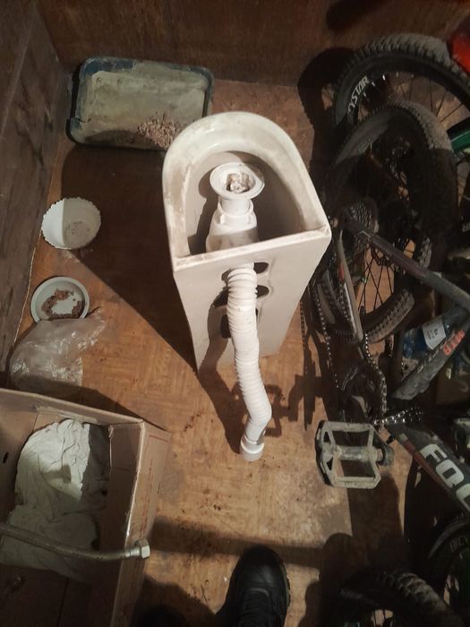 Продам тюльпан в отличном состоянии