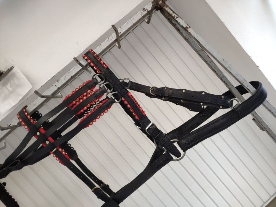 set-global CAL | ham + zurzuri + capici + struna + haturi ⟣GARANTIE ⁴⁸