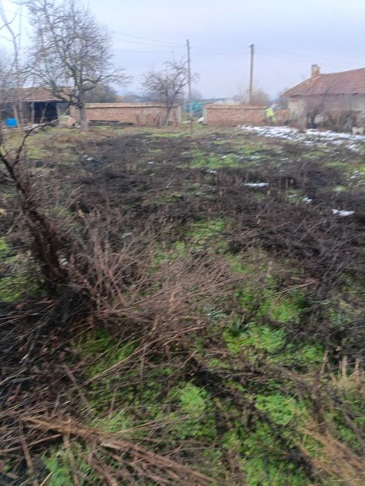 Продава се Къща в с. Осенец, Област Разград - 69 кв.м за 133 €/кв.м - Снимка #7