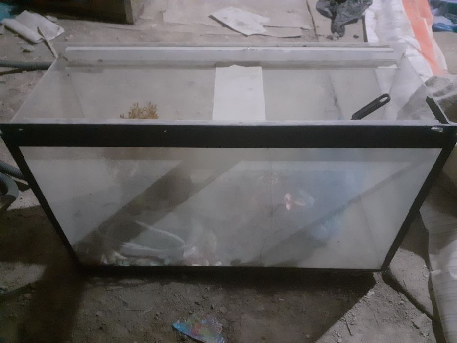 akuvarin valiqcgakar uchun