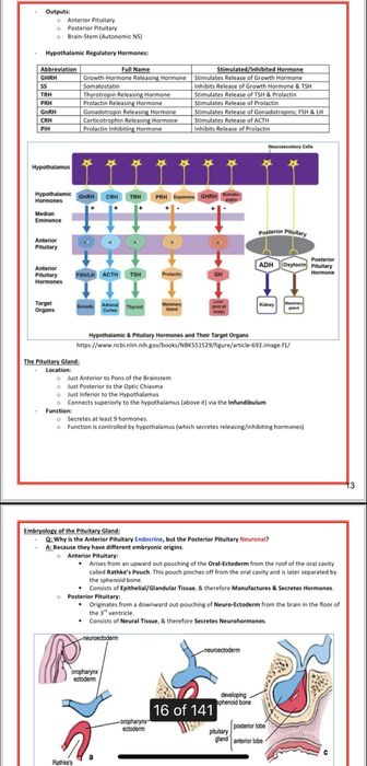 Anatomie, medicina, fiziologie - Sistemul Endocrin, Farmacologie
