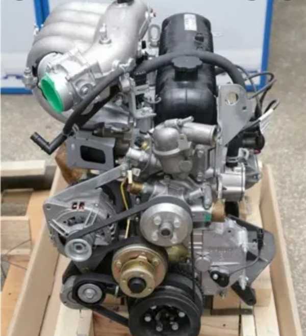 Двс газель фото Двс газель фото