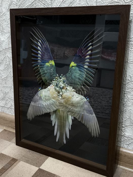 Композиция из птичьих крыльев