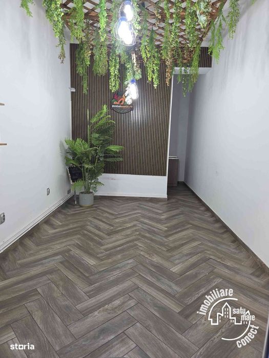 Spatiu Comercial,