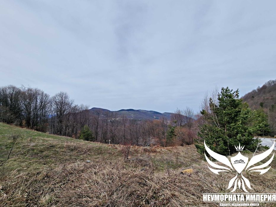 Продавам земя 1981кв. в село Врата, местност КАБАТА общ.Асеновград