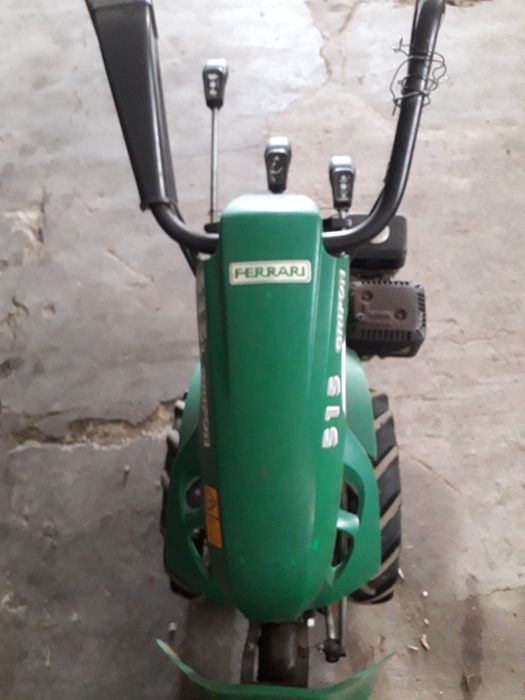 Cosesc gradini in Alba iulia si in apropiere