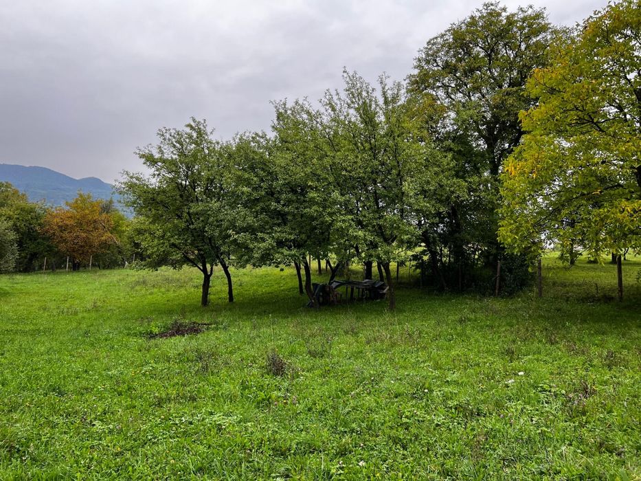 Vand teren intravilan in Hoteni (Breb) Maramures
