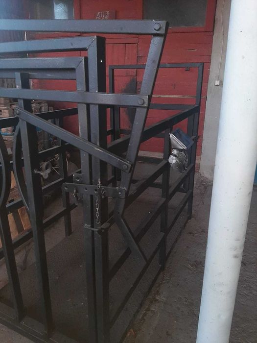 Cantar 3 to cu dispozitiv de contentie bovine