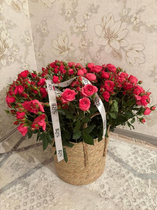 Роза кеше түнде алынған 51 шт срочна