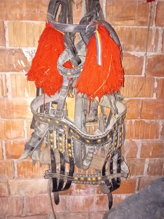 Vând ham și căpățan