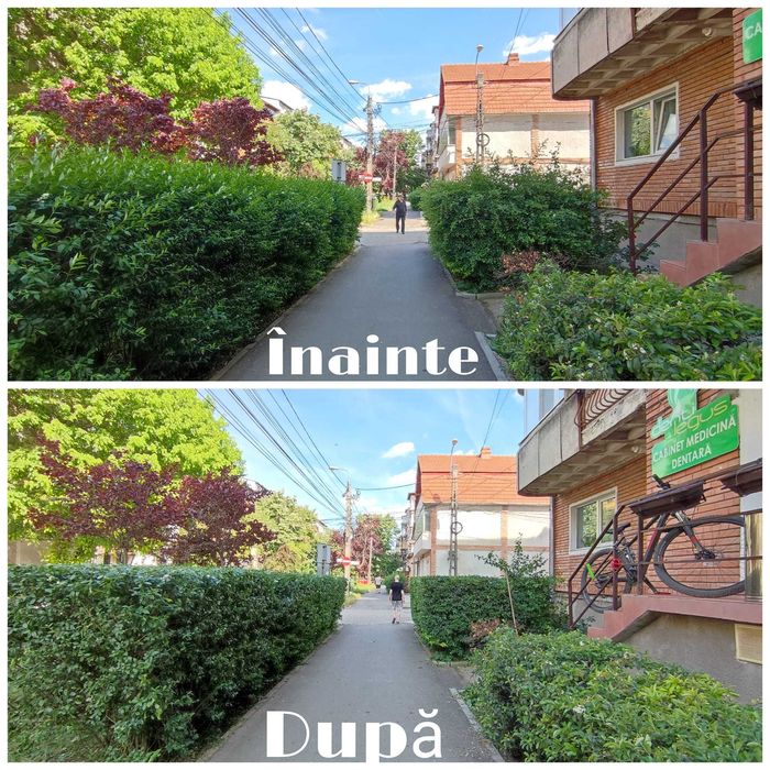 Tai , Tund Iarbă  Defrișări – intervenții rapide/servicii profesionale