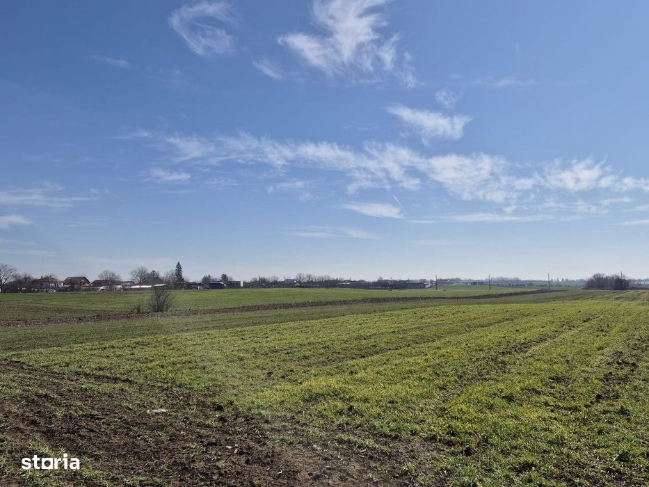 Trestieni - Ulmi, vanzare teren 1.663mp, intravilan