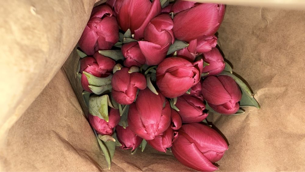 Тюльпаны оптом местные