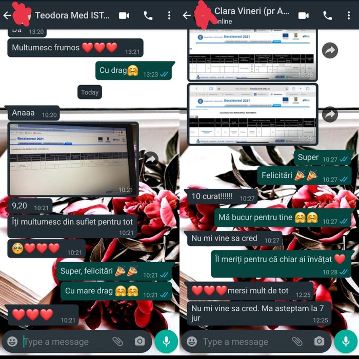 Meditatii Online BAC Istorie