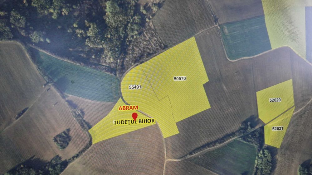 teren agricol 8.3883 HA - Abram,langa Marghita - judetul Bihor