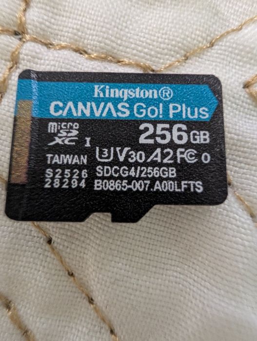 Card Kingston Canvas Go Plus 256