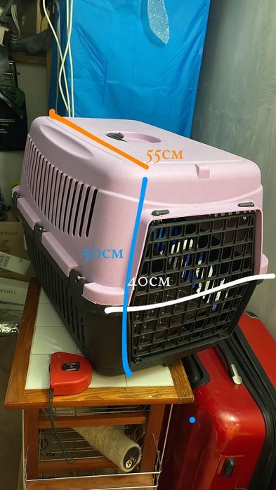 РЕЗЕРВИРАНО ДО 21.02 Котка всичко за 100€ прочети описание