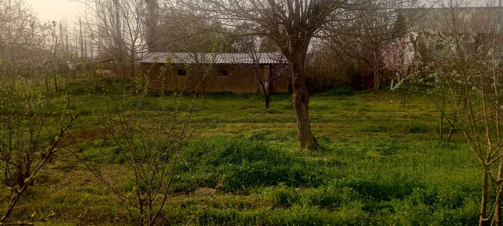 Дача сотилади 6 сотих  уй билан 4 х хона,гараж .