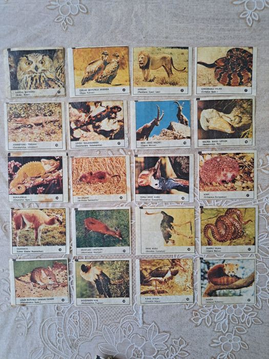 Картинки от дъвки