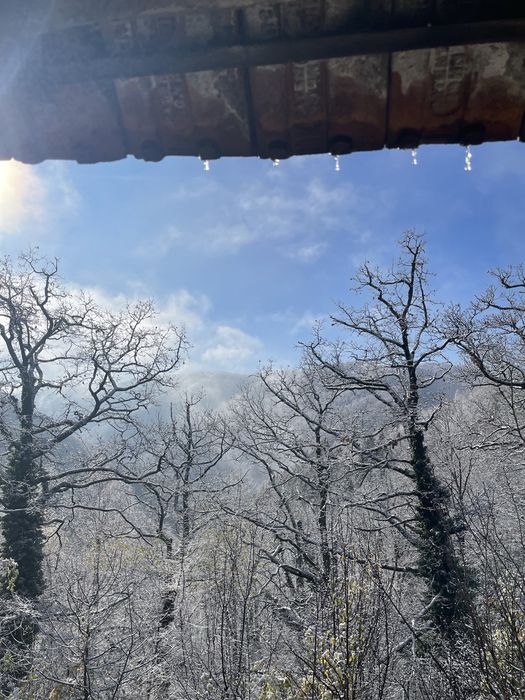 Vand teren zona de deal 9,5 Ha, si Casa de Vacanta