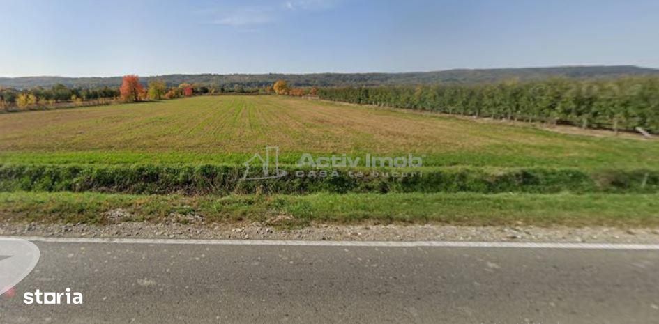 Teren intravilan 13060 mp | Deschidere 64 m la DN72A Voinesti