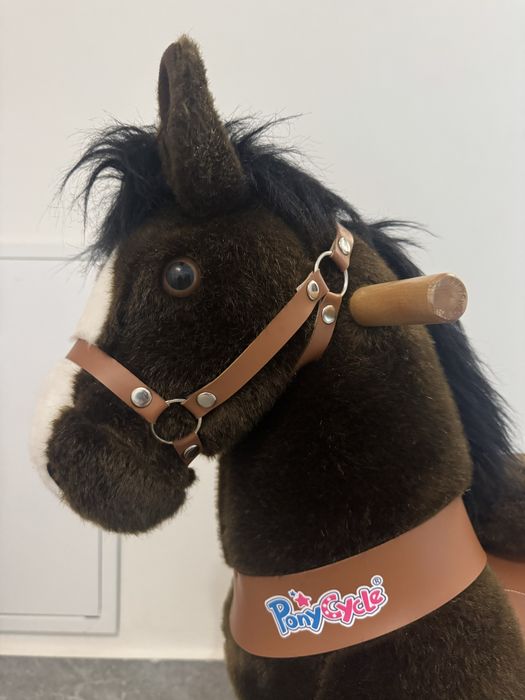 Ponei  cu roti, PonyCycle