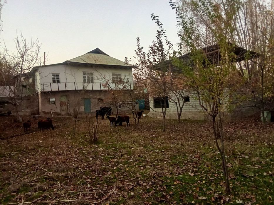 Xovli sotiladi.srochna