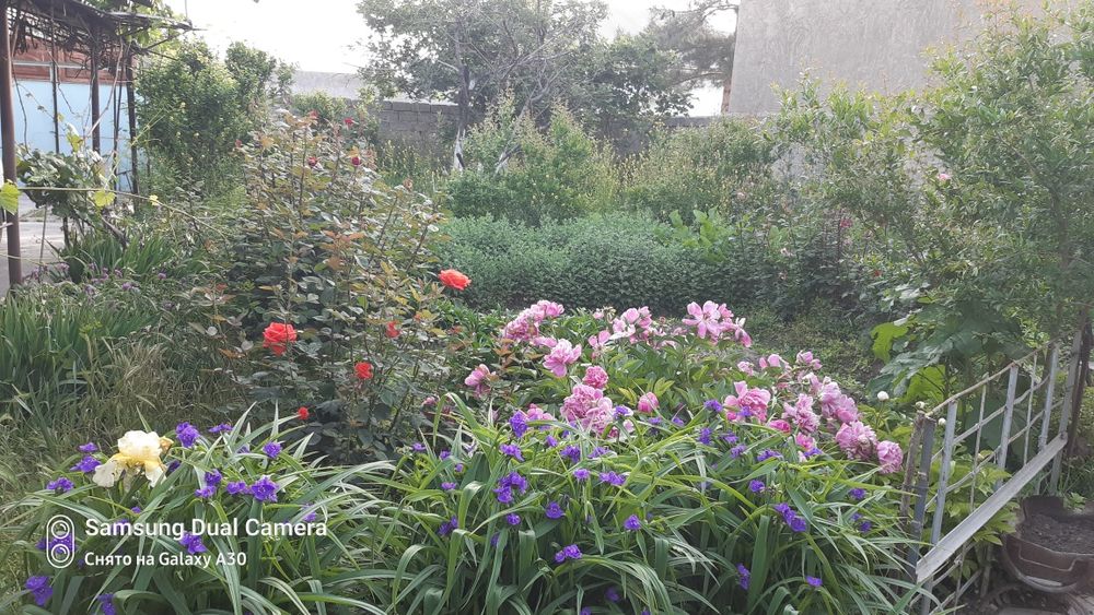 Продаётся коттедж на две семьи