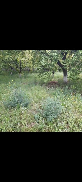 Fargʻona shahar oq ariqdan 4 sotih yer bor