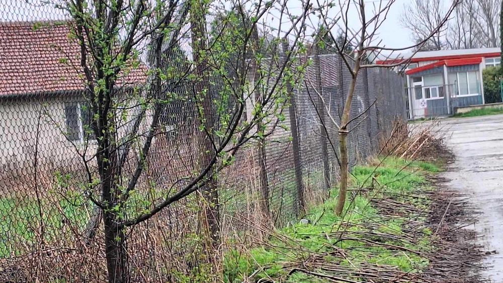 Продава се Парцел в с. Мусачево, Област София-област - 1940 кв.м за 100 €/кв.м - Снимка #1