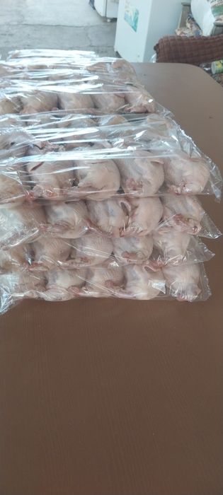 Мясо перепелов .Тушки.