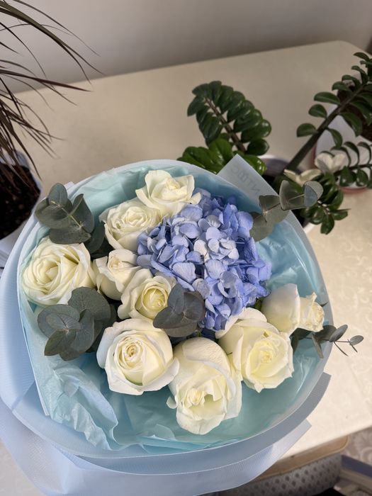 Продается цветы срочно