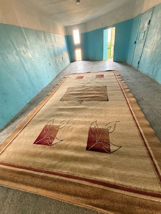 Ковер для дома 3×5.5м