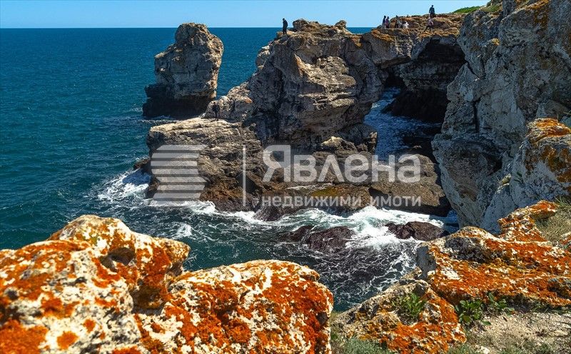 Продава се Парцел в с. Тюленово, Област Добрич - 6000 кв.м за 55 €/кв.м - Снимка #3