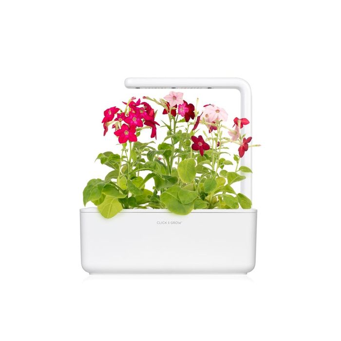 Smart Garden 3 - градина за дома в бяло
