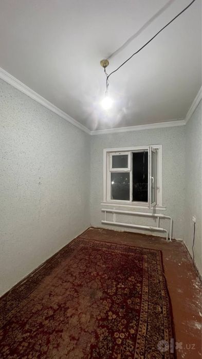 Arenda sergeli qizlar uchun