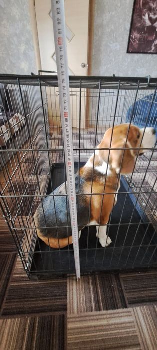 Продам варьер для собак