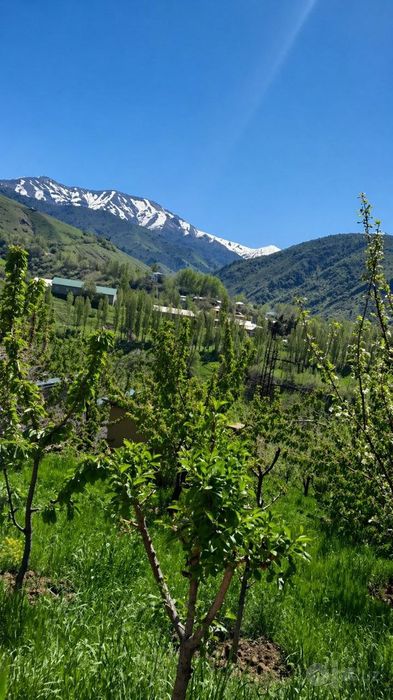Паркет уйлари кумушкон дача участка йер сотилади