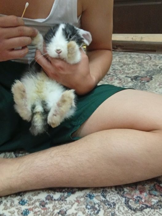 quyon bepul karlikoviy yahshi qaridgon odamga bervoranan