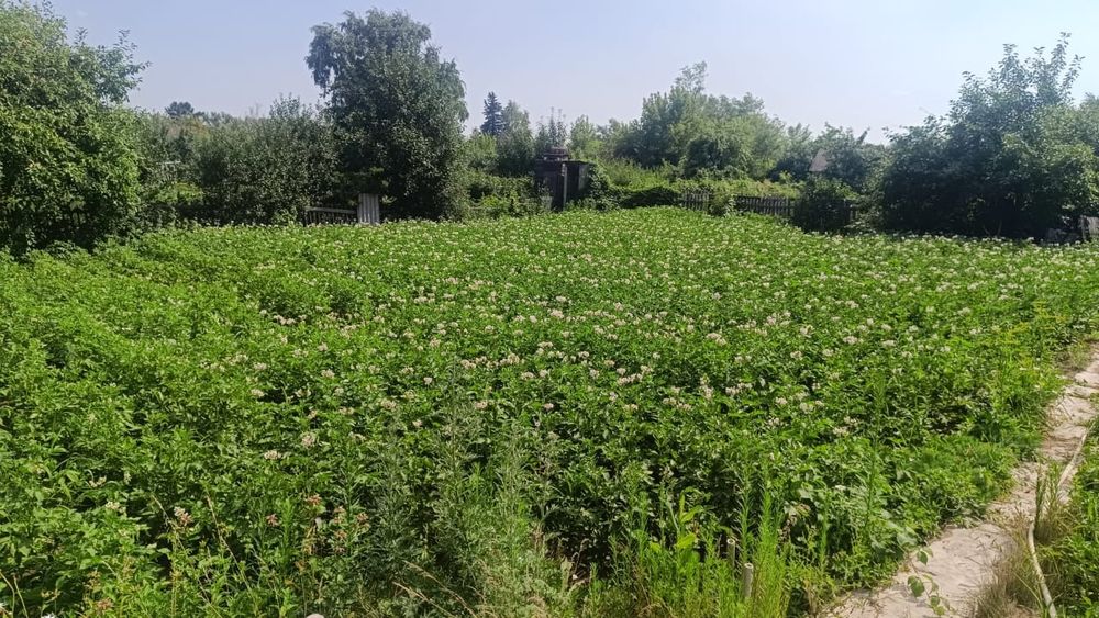 Сдам дачу сад Энтузиаст