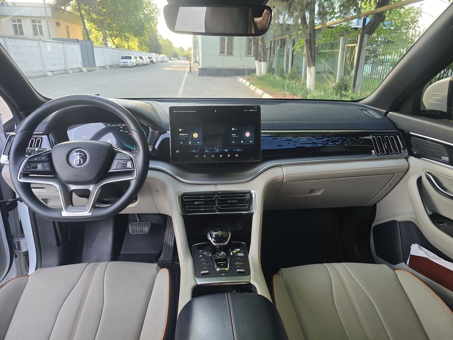 Other Song Pro EV 2022 — 4