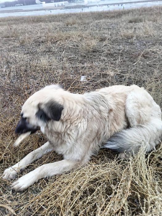 В добрые ответственные ручки