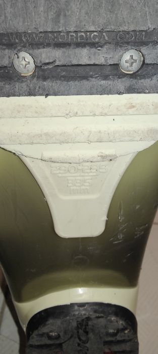 Ски, щеки и обувки