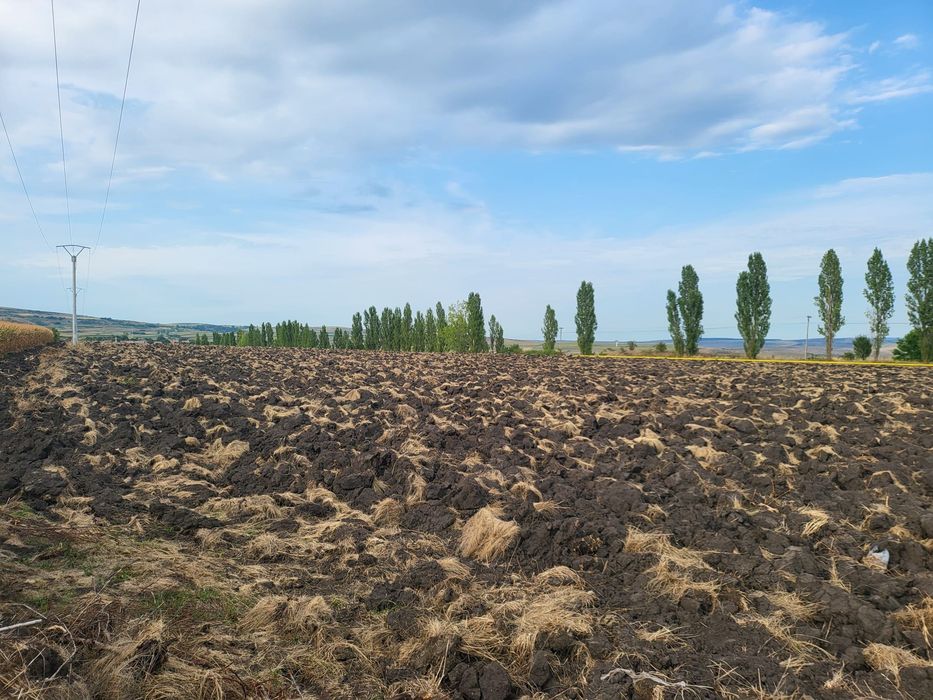 Vând 25.000 mp teren pentru hale in Tureni
