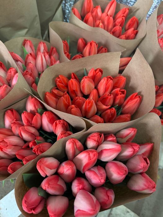 Тюльпаны премиум класса по 750 тг