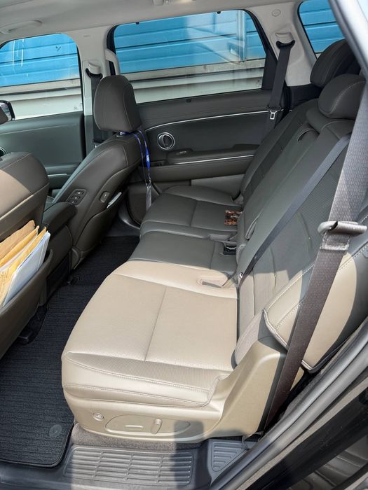 Hyundai Palisade calligraphy