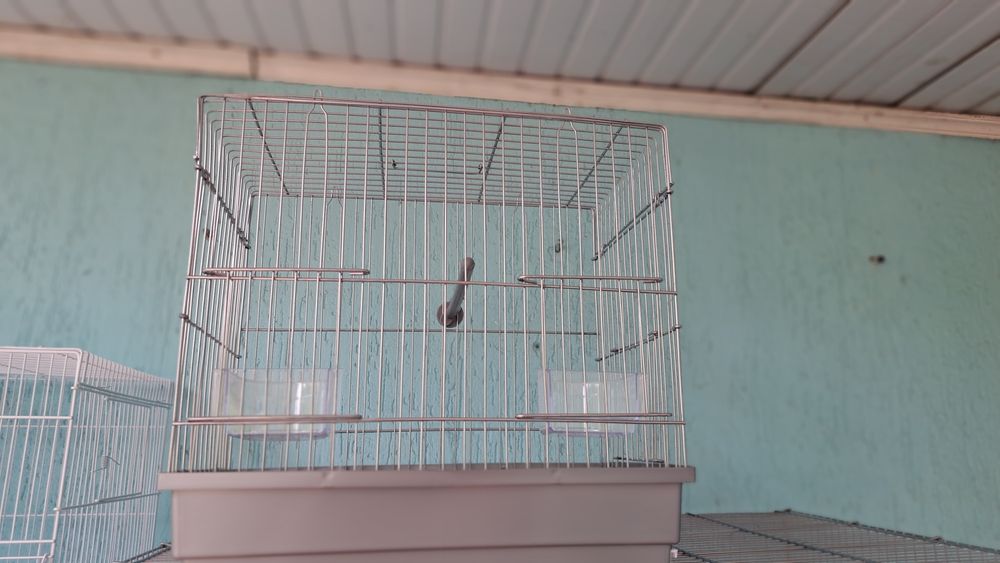 Клетки для декоративных птиц.